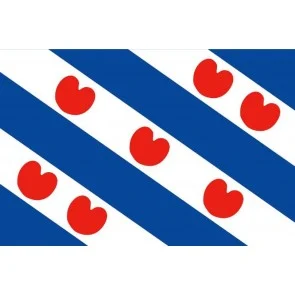 Friese vlag 90x150cm budget